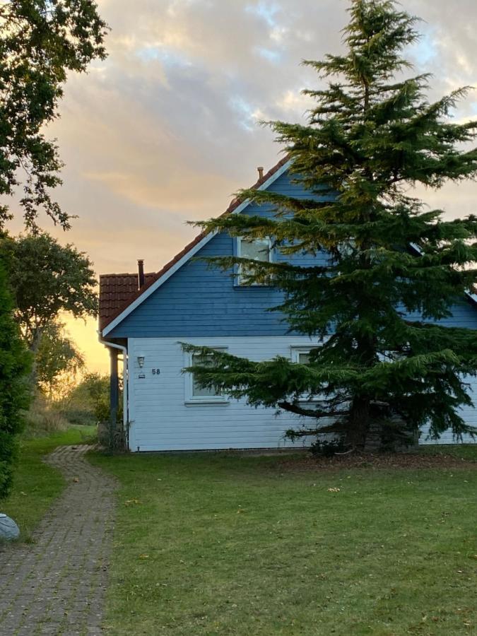 Freistehendes Einfamilienhaus Mit Boddenblick Naehe Ostsee Fuhlendorf  Luaran gambar